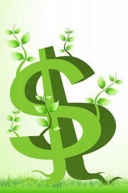 Money Tree Image