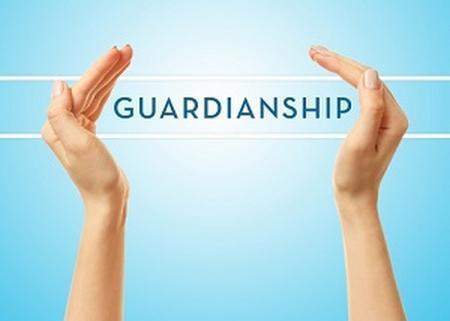 Illinois guardianship lawyer